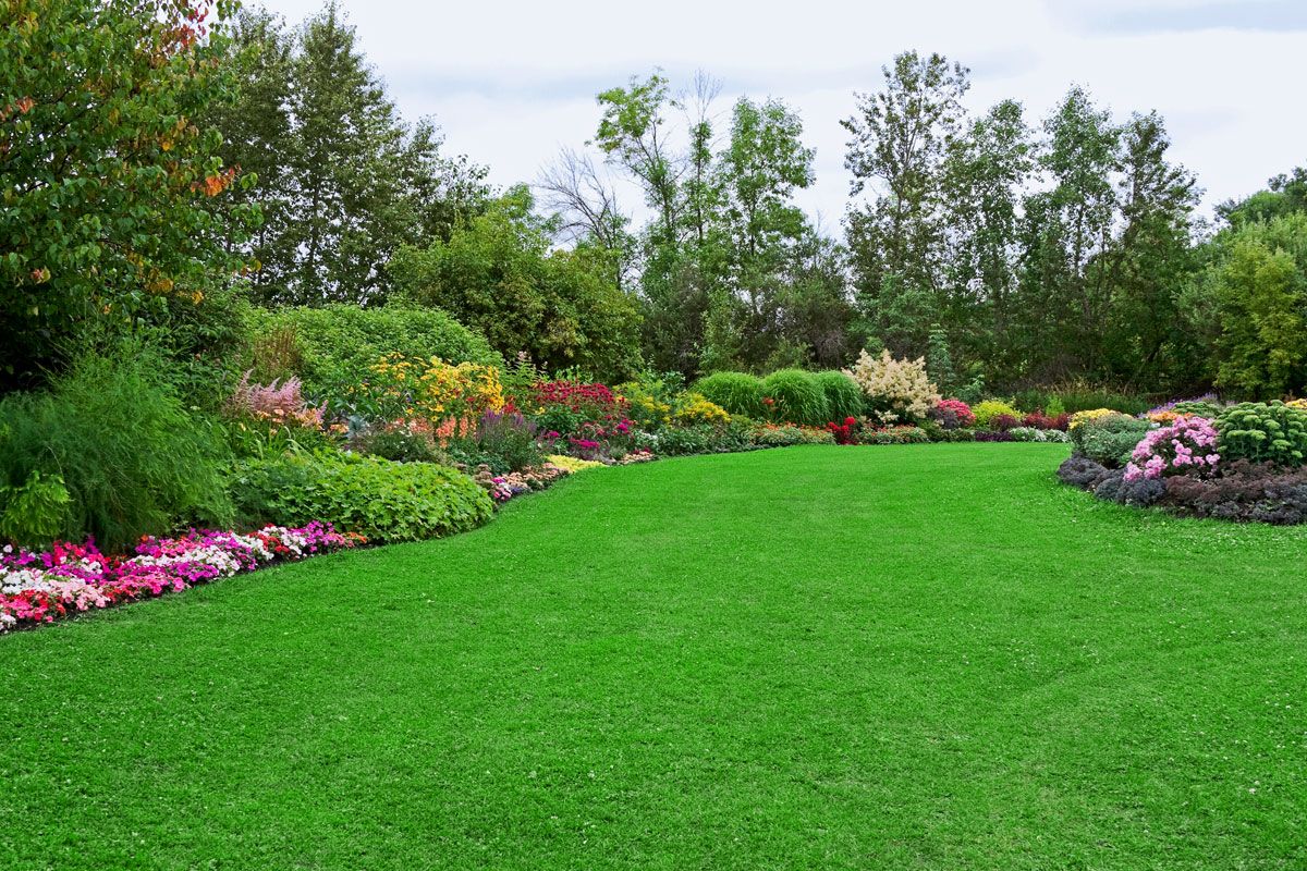 Home Lawn & Garden Care